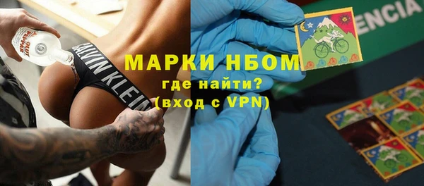 прущие грибы Алзамай