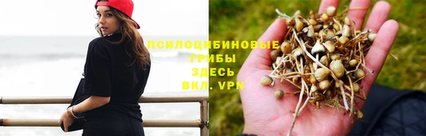спиды Нягань
