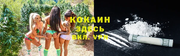 прущий лед Няндома