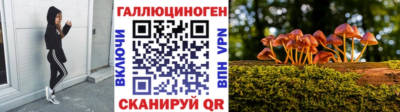где продают наркотики  Невельск  Галлюциногенные грибы Magic Shrooms 